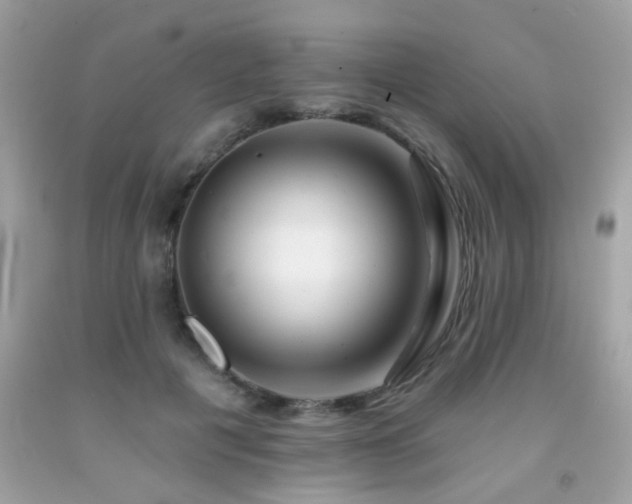 X0000092080601200709121446