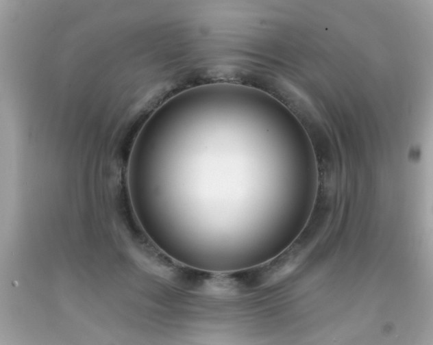 X0000092080603200709121446