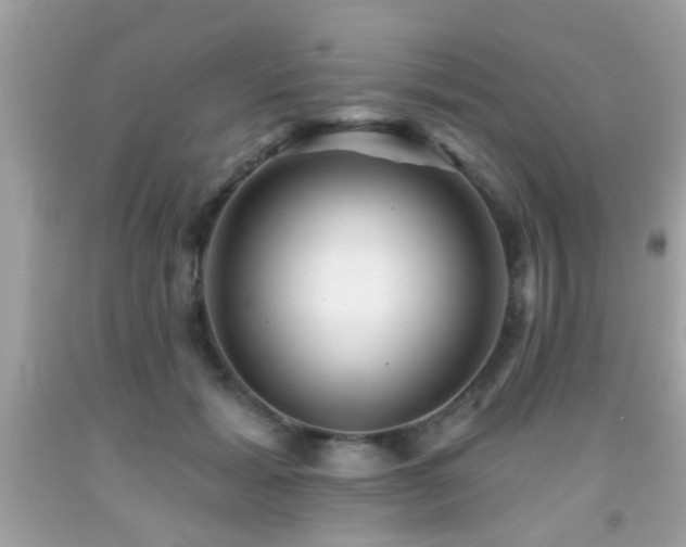 X0000092080605200709121446