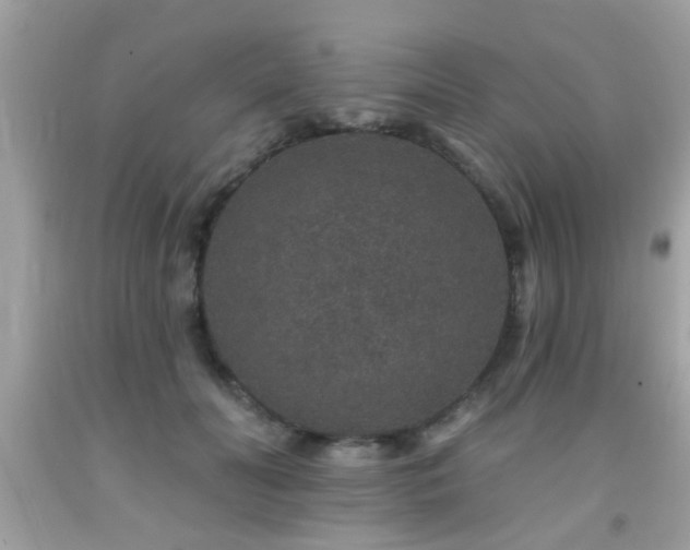 X0000092080606200709121446