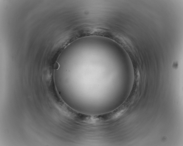 X0000092080607200709121446