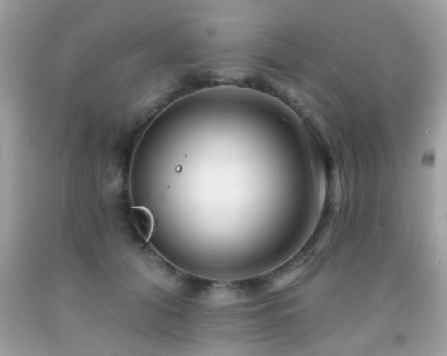 X0000092080608200709121446
