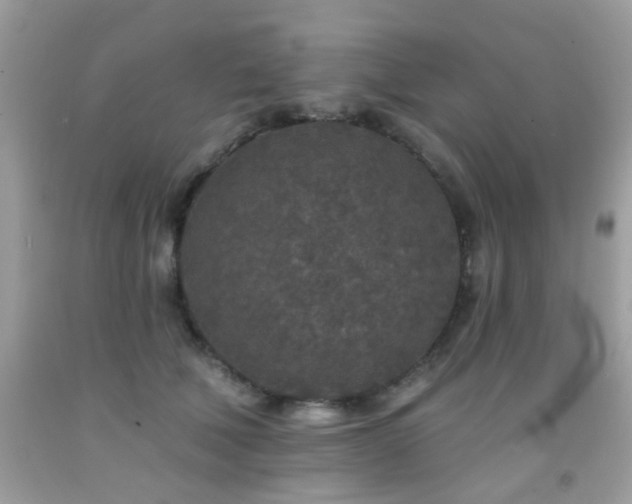 X0000092080610200709121446