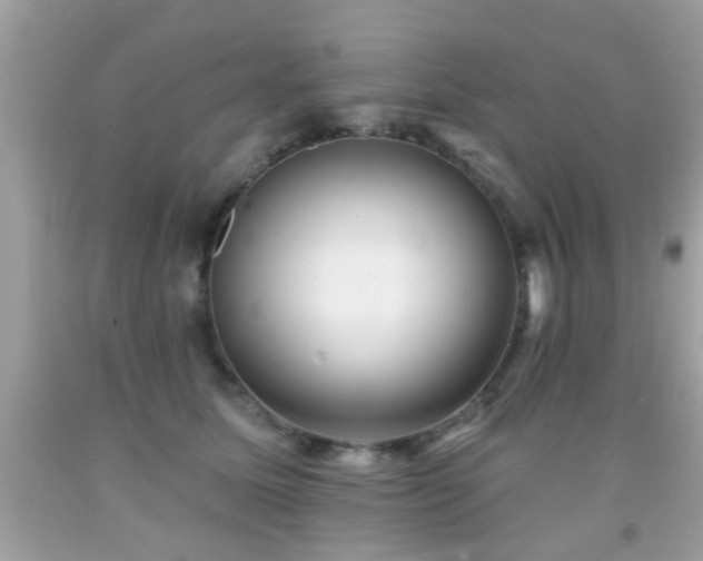 X0000092080611200709121446