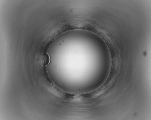 X0000092080612200709121446