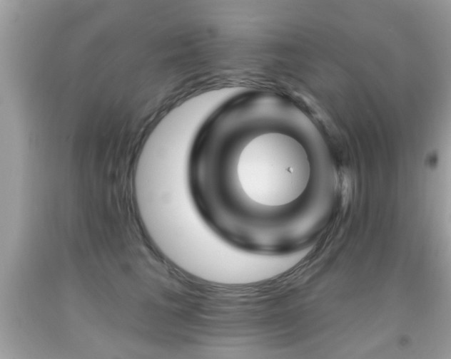 X0000092080613200709121446