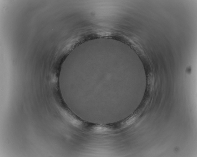 X0000092080614200709121446