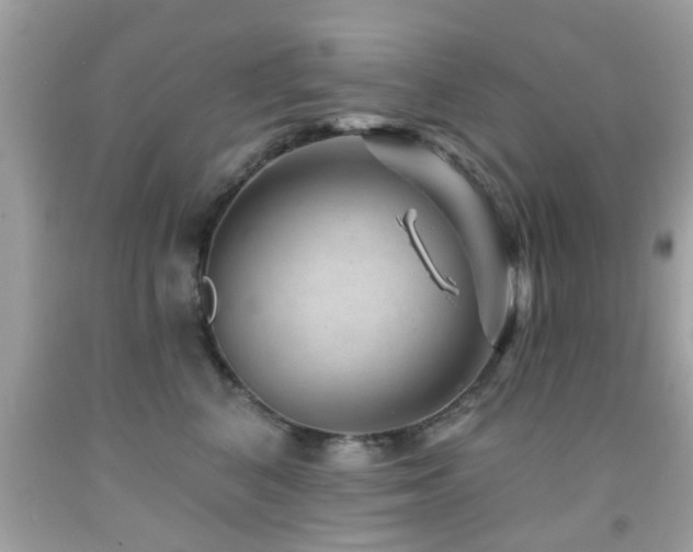 X0000092080616200709121446