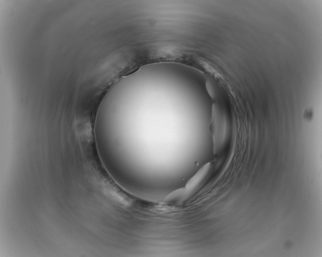 X0000092080617200709121445