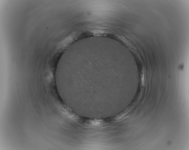 X0000092080618200709121445