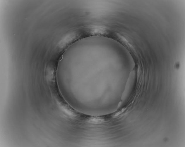 X0000092080619200709121445