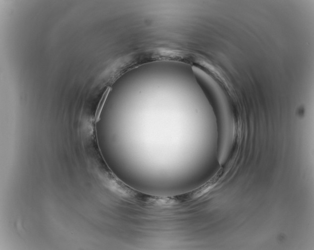 X0000092080621200709121445