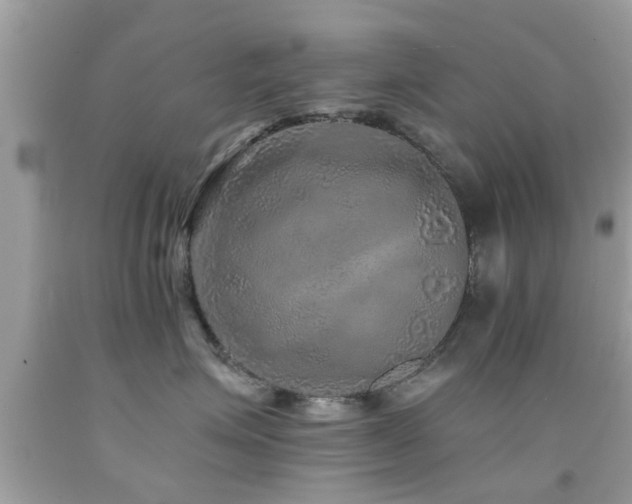 X0000092080623200709121445