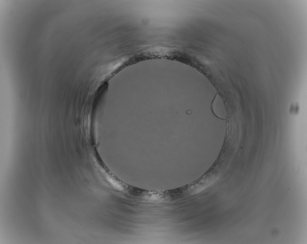X0000092080624200709121445