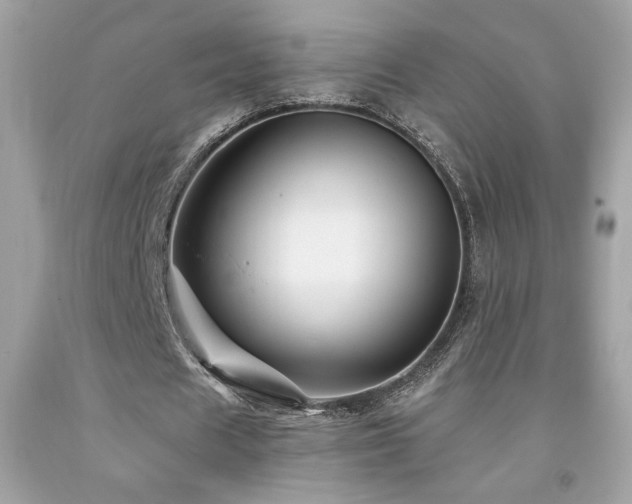 X0000092080625200709121445