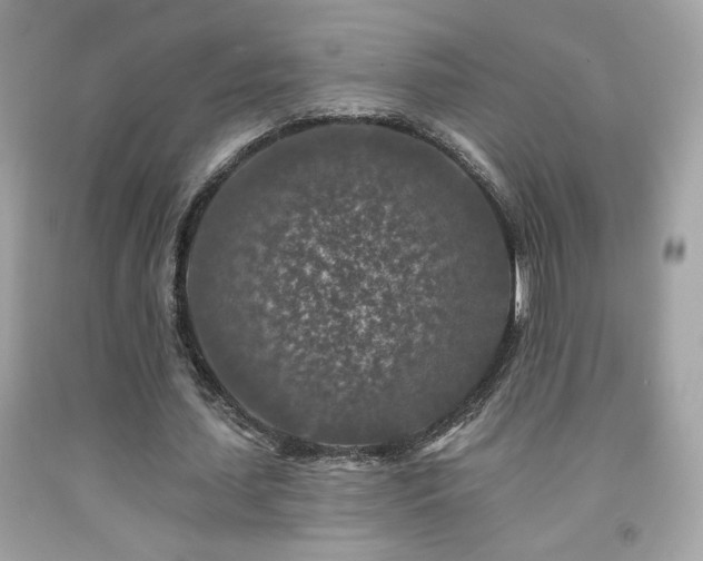 X0000092080627200709121445
