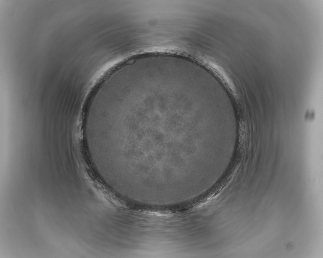 X0000092080628200709121445