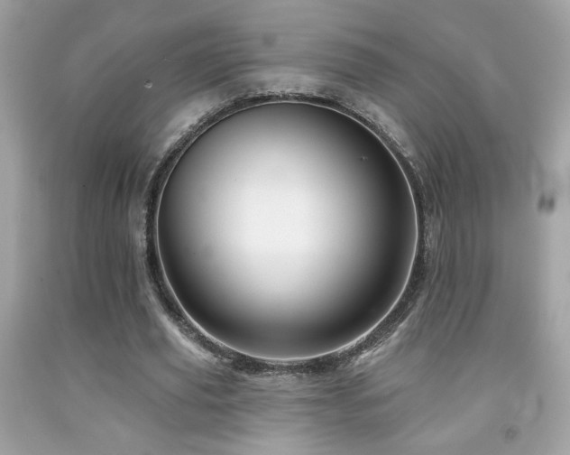 X0000092080629200709121445
