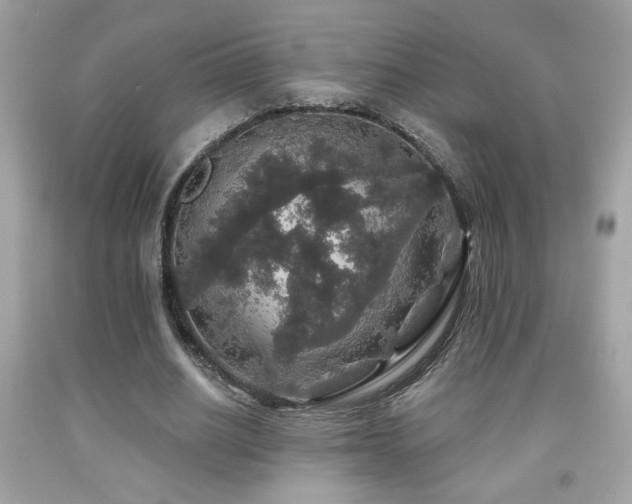 X0000092080630200709121445