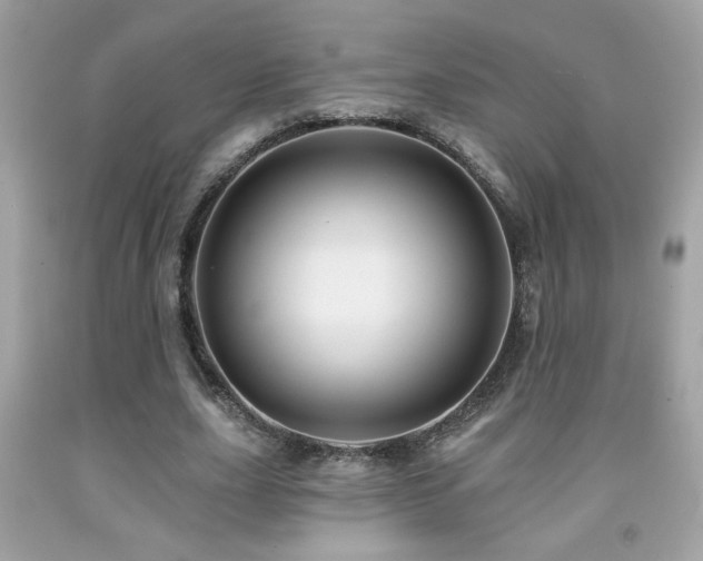 X0000092080631200709121445
