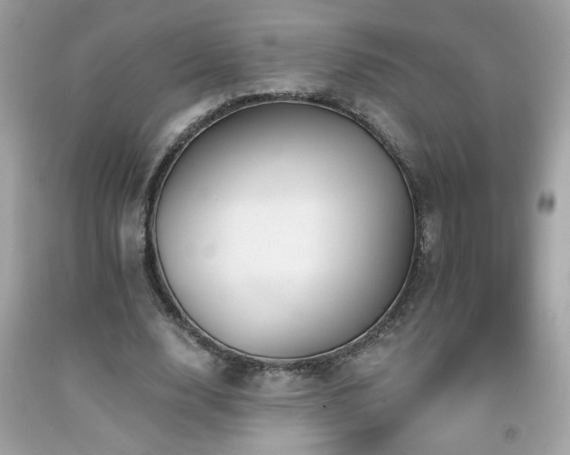 X0000092080632200709121445