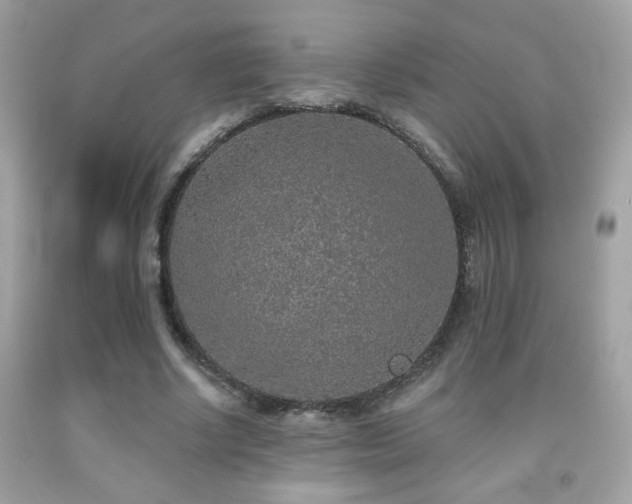 X0000092080634200709121445