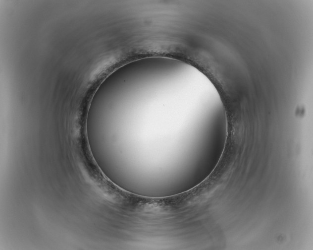 X0000092080635200709121445