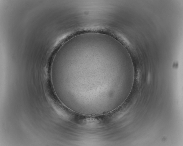 X0000092080636200709121445