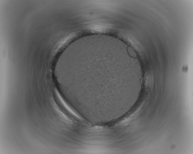 X0000092080637200709121445