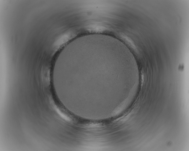 X0000092080638200709121445