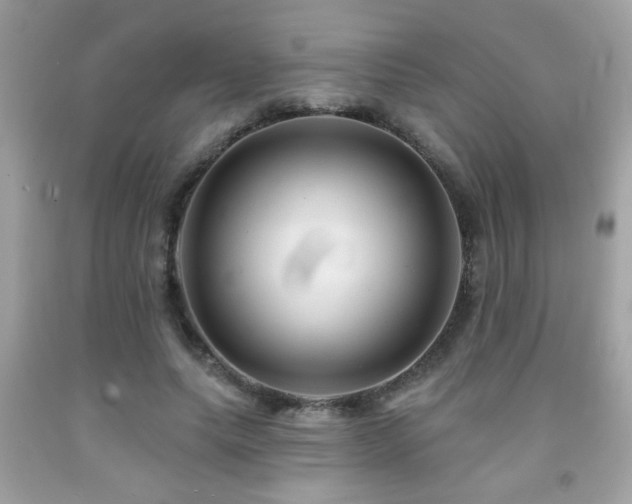X0000092080639200709121445