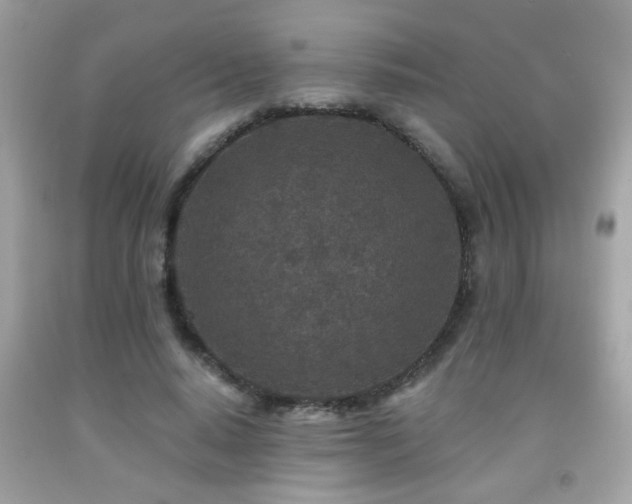 X0000092080640200709121445