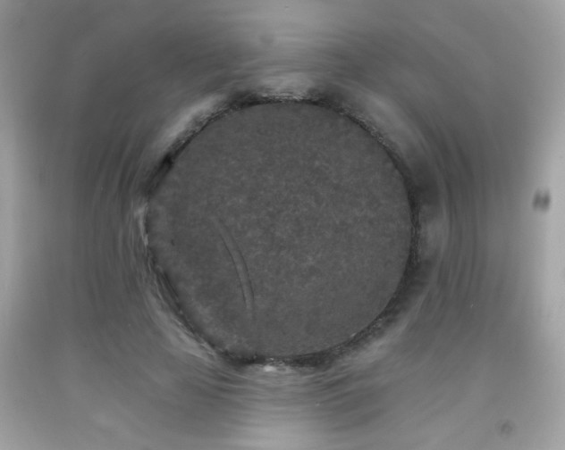 X0000092080641200709121445