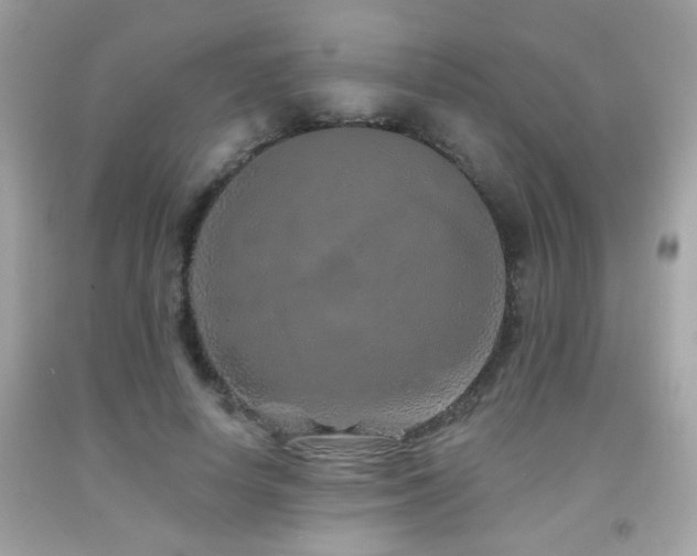 X0000092080642200709121445