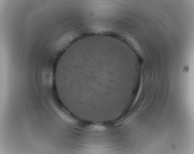 X0000092080644200709121445