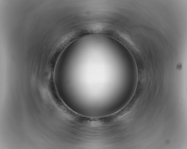 X0000092080645200709121445