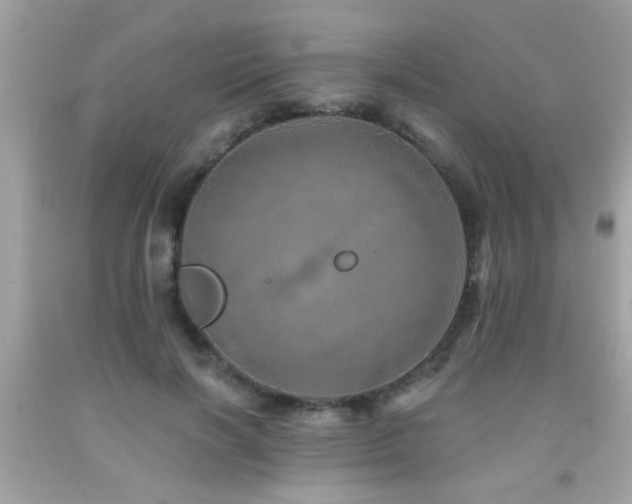X0000092080646200709121445