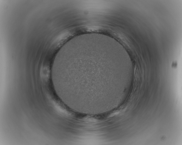 X0000092080648200709121445
