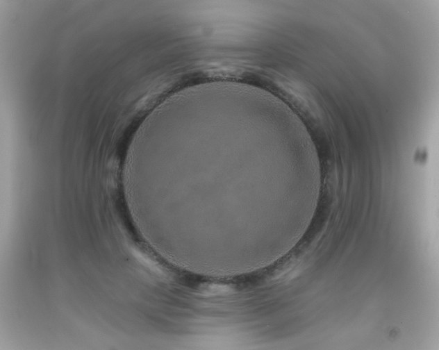 X0000092080649200709121445