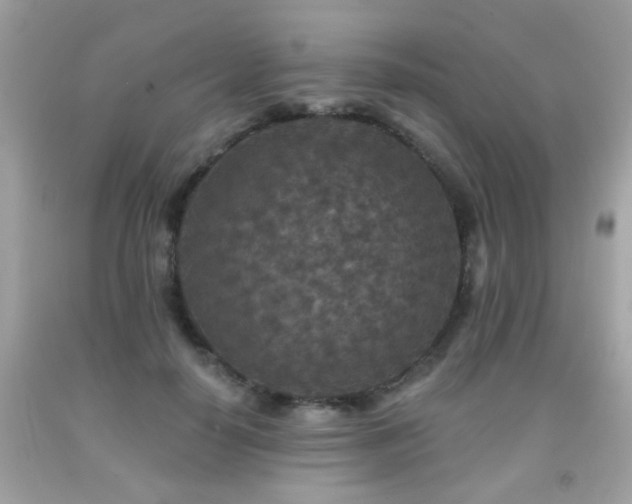 X0000092080650200709121445