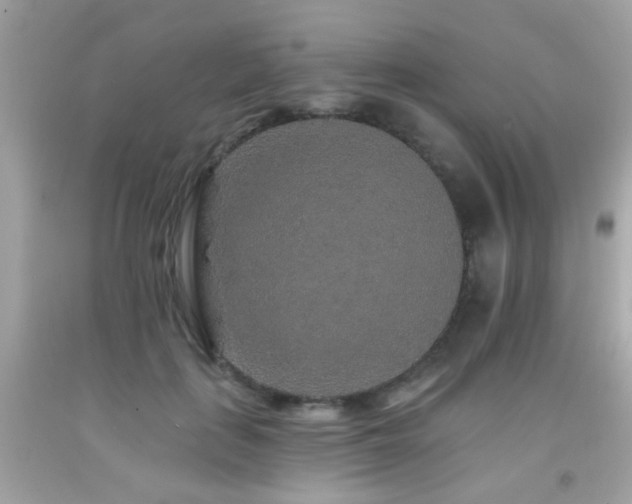 X0000092080651200709121445