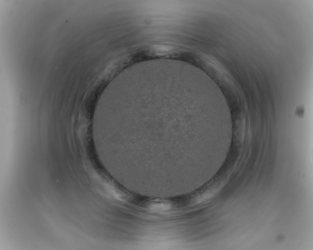 X0000092080653200709121445