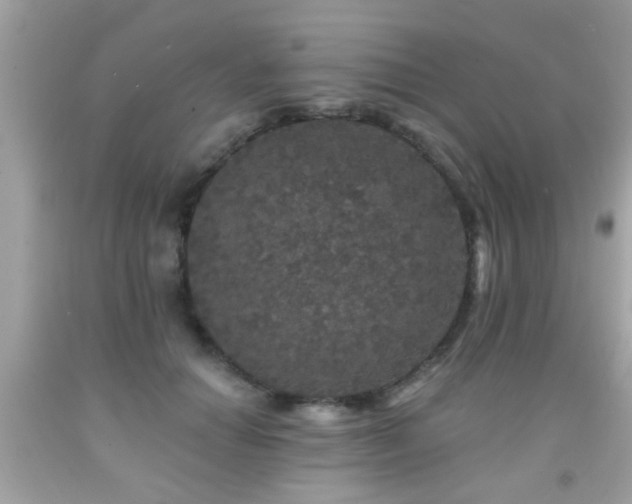 X0000092080654200709121445