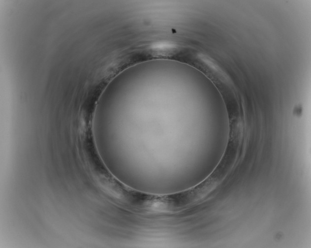 X0000092080655200709121445