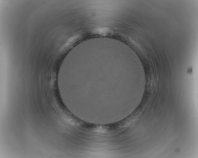 X0000092080656200709121445