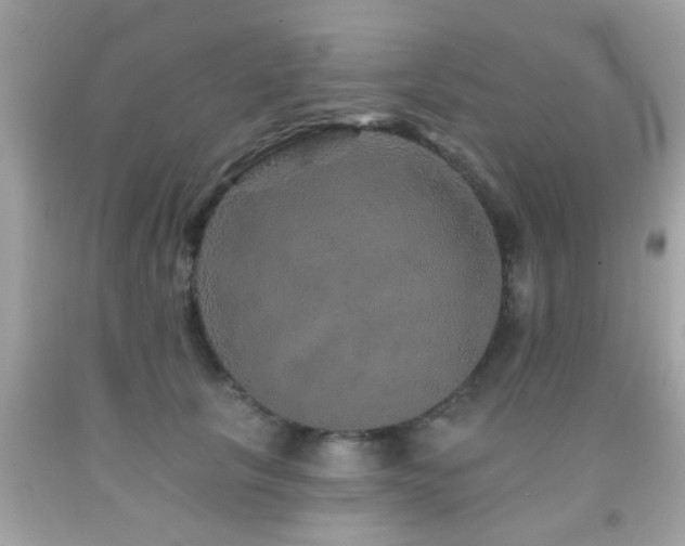 X0000092080657200709121445