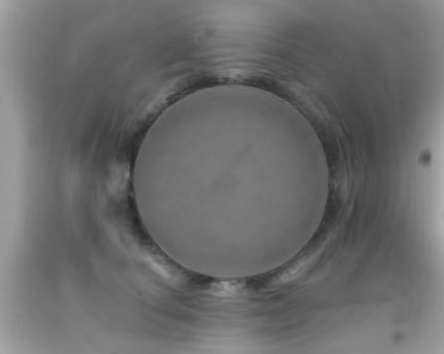 X0000092080660200709121445