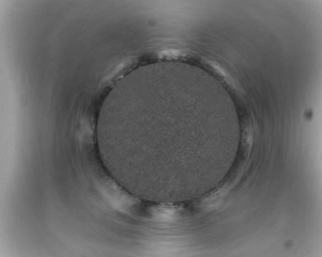 X0000092080661200709121445