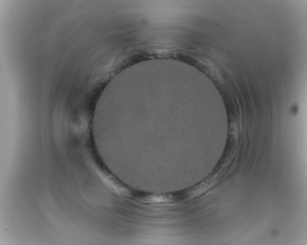 X0000092080662200709121445
