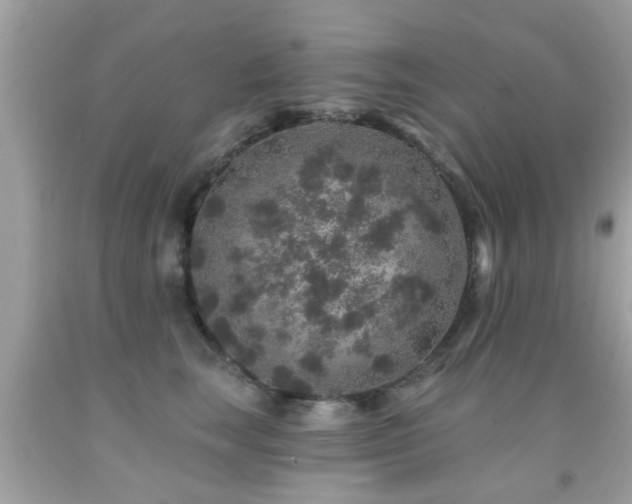 X0000092080663200709121445
